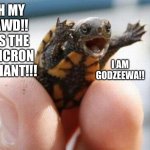 Omicron variant …that’s adorable | OH MY GAWD!! IT’S THE OMICRON VARIANT!!! I AM GODZEEWA!! | image tagged in happy baby turtle,omicron,cuteness overload | made w/ Imgflip meme maker