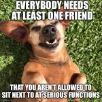 Laughing dog | EVERYBODY NEEDS AT LEAST ONE FRIEND; THAT YOU AREN’T ALLOWED TO SIT NEXT TO AT SERIOUS FUNCTIONS | image tagged in laughing dog | made w/ Imgflip meme maker