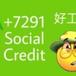 +7291 social credit