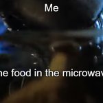 What the food in the microwave sees. | Me; The food in the microwave | image tagged in alien studying cat | made w/ Imgflip meme maker