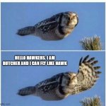 hawk that say hello | HELLO HAWKERS. I AM BUTCHER AND I CAN FLY LIKE HAWK | image tagged in hawk that say hello | made w/ Imgflip meme maker