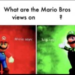 What are the mario bros views on?
