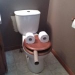 toilet head meme