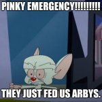 The Brain Rearview | PINKY EMERGENCY!!!!!!!!! THEY JUST FED US ARBYS. | image tagged in the brain rearview | made w/ Imgflip meme maker