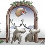 Deers Looking for Santa