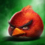 Angry bird template