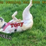 Tony Stark testing his suit | Tony when testing the Iron Man suit:; Tony; WALL | image tagged in doggo falling back,iron man,tony stark,marvel,mcu,avengers | made w/ Imgflip meme maker