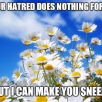 I Grow No Matter What You Do | YOUR HATRED DOES NOTHING FOR ME BUT I CAN MAKE YOU SNEEZE | image tagged in spring daisy flowers,winter is coming,fighting | made w/ Imgflip meme maker