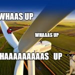 Wind Turbine! | WHAAS UP; WHAAAS UP; WHAAAAAAAAAS   UP | image tagged in wind turbine | made w/ Imgflip meme maker