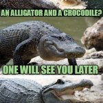 Bad Pun Alligator | WHAT'S THE DIFFERENCE BETWEEN; AN ALLIGATOR AND A CROCODILE? ONE WILL SEE YOU LATER; THE OTHER, AFTER A WHILE. | image tagged in bad pun alligator,alligator,crocodile,memes,funny,bad pun | made w/ Imgflip meme maker