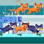 Pixelated Cat army
