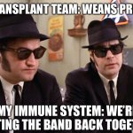 Getting the immune band back together | HEART TRANSPLANT TEAM: WEANS PREDNISONE; MY IMMUNE SYSTEM: WE’RE GETTING THE BAND BACK TOGETHER | image tagged in blues brothers,transplant,heart,prednisone,drugs,immune system | made w/ Imgflip meme maker