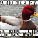 Malicious Advice Mallard | STRANDED ON THE HIGHWAY? STAND IN THE MIDDLE OF THE ROAD, MOTORISTS WILL STOP FOR YOU. | image tagged in memes,malicious advice mallard | made w/ Imgflip meme maker