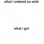 What I ordered on wish meme