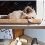 Breadcat