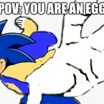 HoW Do yOu dRoP An eGg wItHoUt bReAkInG It?!?! | POV: YOU ARE AN EGG | image tagged in sonic punch,egg,sonic the hedgehog,sonic | made w/ Imgflip meme maker