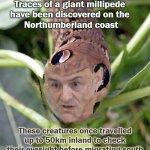 Visually-impaired Millipede | Traces of a giant millipede 
have been discovered on the 
Northumberland coast; These creatures once travelled up to 50km inland to check their eyesight before migrating south | image tagged in fossil,northumberland,england,boris johnson,castle,lockdown | made w/ Imgflip meme maker
