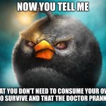 Shitpost | NOW YOU TELL ME; THAT YOU DON'T NEED TO CONSUME YOUR OWN FECES TO SURVIVE AND THAT THE DOCTOR PRANKED ME? | image tagged in angry bird black,shitpost,memes,funny,angry birds | made w/ Imgflip meme maker