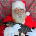 Florida xmas