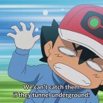 WE CAN'T CATCH THEM IF THEY TUNNEL UNDERGROUND!