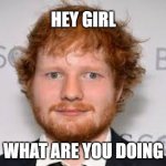 Derpy Ed Sheeran | HEY GIRL; WHAT ARE YOU DOING | image tagged in derpy ed sheeran | made w/ Imgflip meme maker
