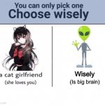 Choose wisely, seriously | Wisely (Is big brain) | image tagged in choose wisely | made w/ Imgflip meme maker