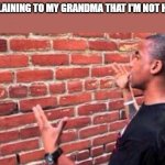 Brick Wall | ME EXPLAINING TO MY GRANDMA THAT I'M NOT HUNGRY | image tagged in brick wall | made w/ Imgflip meme maker
