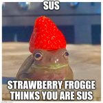 Most smartest title ever | SUS STRAWBERRY FROGGE THINKS YOU ARE SUS | image tagged in strawberry frog | made w/ Imgflip meme maker