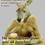Pouch potatoes | Had God intended humans to scroll cellphones 
in bars ..... He would have given 
you all pouches! | image tagged in cool kangaroo,australia,lager,corona beer,evolution,mobile | made w/ Imgflip meme maker