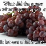 grapes | What did the grape do when it got stepped on? It let out a little wine. | image tagged in grapes | made w/ Imgflip meme maker