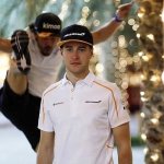 Alonso Vandoorne meme