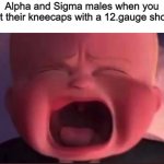 rly, who comes up this terms | Alpha and Sigma males when you shoot their kneecaps with a 12.gauge shotgun | image tagged in boss baby scream | made w/ Imgflip meme maker