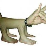 body dog template
