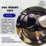 Dog Weight Vest