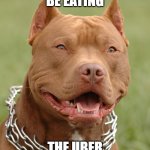 dogs got needs too | TODAY I'LL BE EATING; THE UBER EATS DRIVER | image tagged in pitbull,uber,uber eats | made w/ Imgflip meme maker