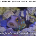 Blue Spotted Jawfish | Normies: You can't use a species from the Sea of Cortez as a meme
Me:; Hmmm, how's bout Imma do it anyway | image tagged in blue spotted jawfish | made w/ Imgflip meme maker