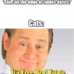 It's Free Real Estate | *Stuff on the edge of tables exists:* Cats: | image tagged in it's free real estate | made w/ Imgflip meme maker