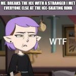 WTF amity | ME: BREAKS THE ICE WITH A STRANGER I MET
EVERYONE ELSE AT THE ICE-SKATING RINK | image tagged in wtf amity | made w/ Imgflip meme maker