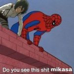 do you see this shit Mikasa