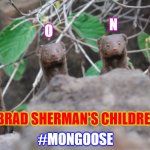 Mongoose children | N; O; G; #M; BRAD SHERMAN'S CHILDREN; #MONGOOSE | image tagged in mongoose | made w/ Imgflip meme maker