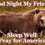 bear | Good Night My Friends; Sleep Well 
Pray for America | image tagged in bear | made w/ Imgflip meme maker