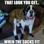 Toby Socks | THAT LOOK YOU GET... WHEN THE SOCKS FIT | image tagged in toby socks | made w/ Imgflip meme maker