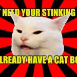 SmudgeBurst Your Stinking Group | I ALREADY HAVE A CAT BOX | image tagged in smudgeburst your stinking group,smudge the cat,smudge,grumpy cat,social media,group | made w/ Imgflip meme maker
