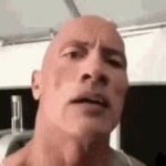 The Rock Accepts GIF Template