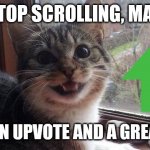 Smiling Cat | STOP SCROLLING, MAN; HAVE AN UPVOTE AND A GREAT DAY! | image tagged in smiling cat | made w/ Imgflip meme maker