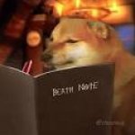 Doge writing a death note