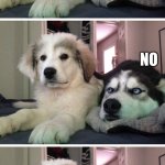 Bad pun dogs | DO YOU KNOW HOW TO PRONOUNCE “ALASKA”? NO NEVER MIND, THEN. ALASKA PRO NEXT TIME | image tagged in bad pun dogs | made w/ Imgflip meme maker