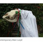 Mari Lwyd meme