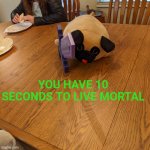 You have 10 seconds to live mortal intimidating dog | YOU HAVE 10 SECONDS TO LIVE MORTAL | image tagged in stuffed dog with a sword,dog | made w/ Imgflip meme maker