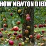 Apples | HOW NEWTON DIED | image tagged in apples | made w/ Imgflip meme maker